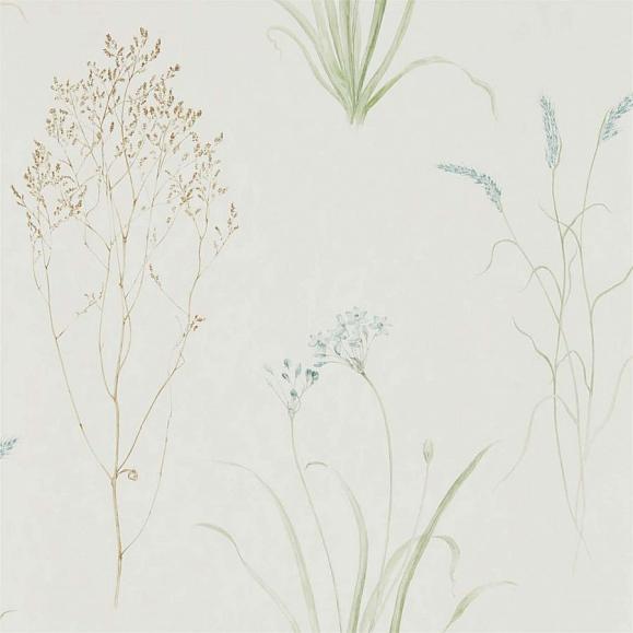 Обои Sanderson Embleton Bay Farne Grasses 216486