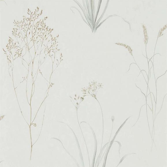 Обои Sanderson Embleton Bay Farne Grasses 216487