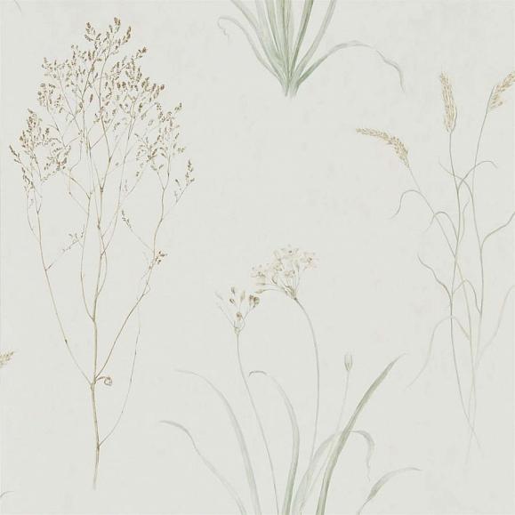 Обои Sanderson Embleton Bay Farne Grasses 216488
