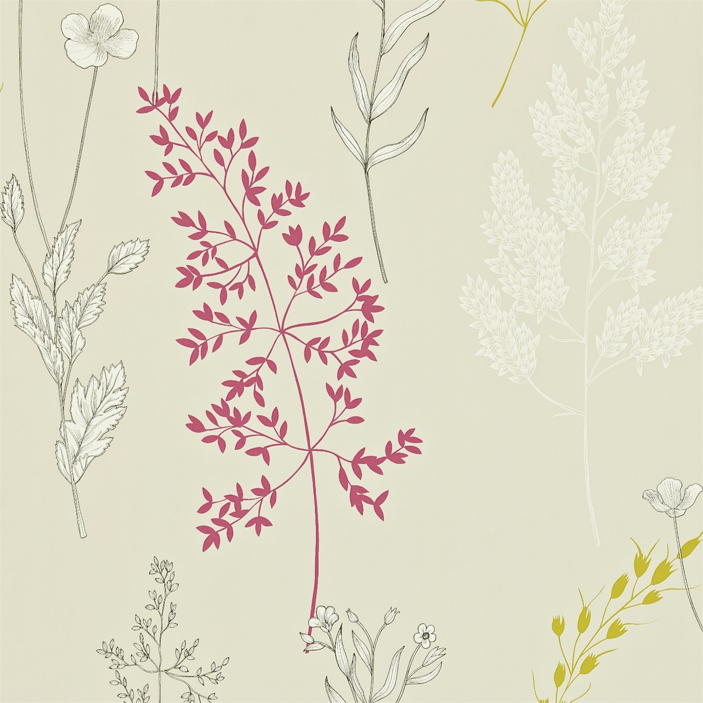 Обои Sanderson Madison Summer Meadow 212860 Обои Sanderson Madison Summer Meadow 212860