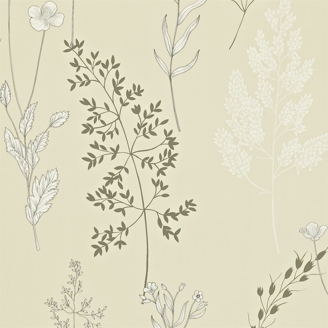 Обои Sanderson Madison Summer Meadow 212861 Обои Sanderson Madison Summer Meadow 212861