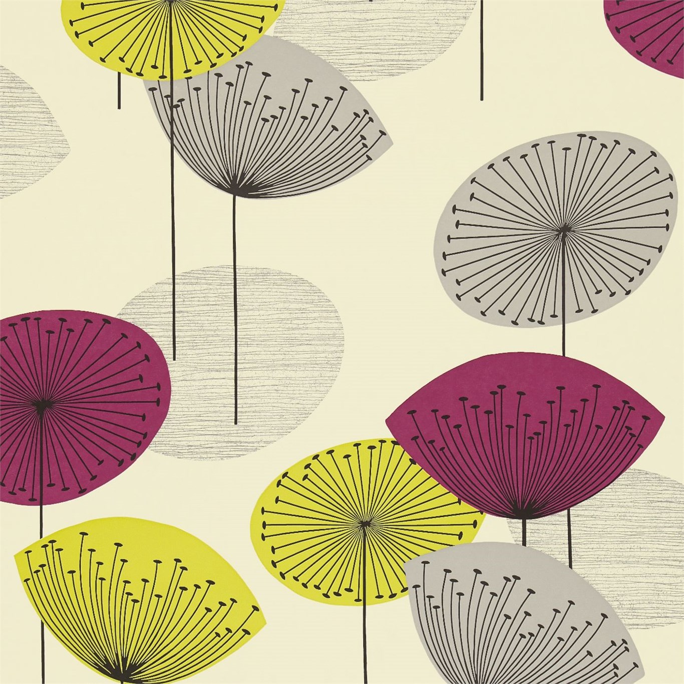 Обои Sanderson Options 10 Dandelion Clocks DOPWDA102 Обои Sanderson Options 10 Dandelion Clocks DOPWDA102