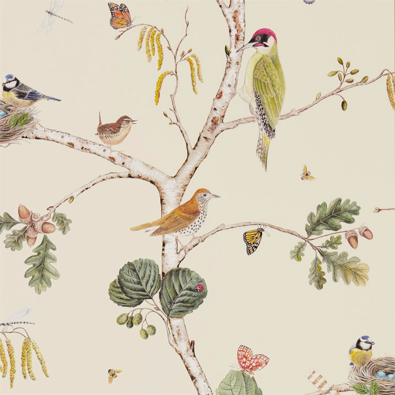 Обои Sanderson Woodland Walk Woodland Chorus 215703