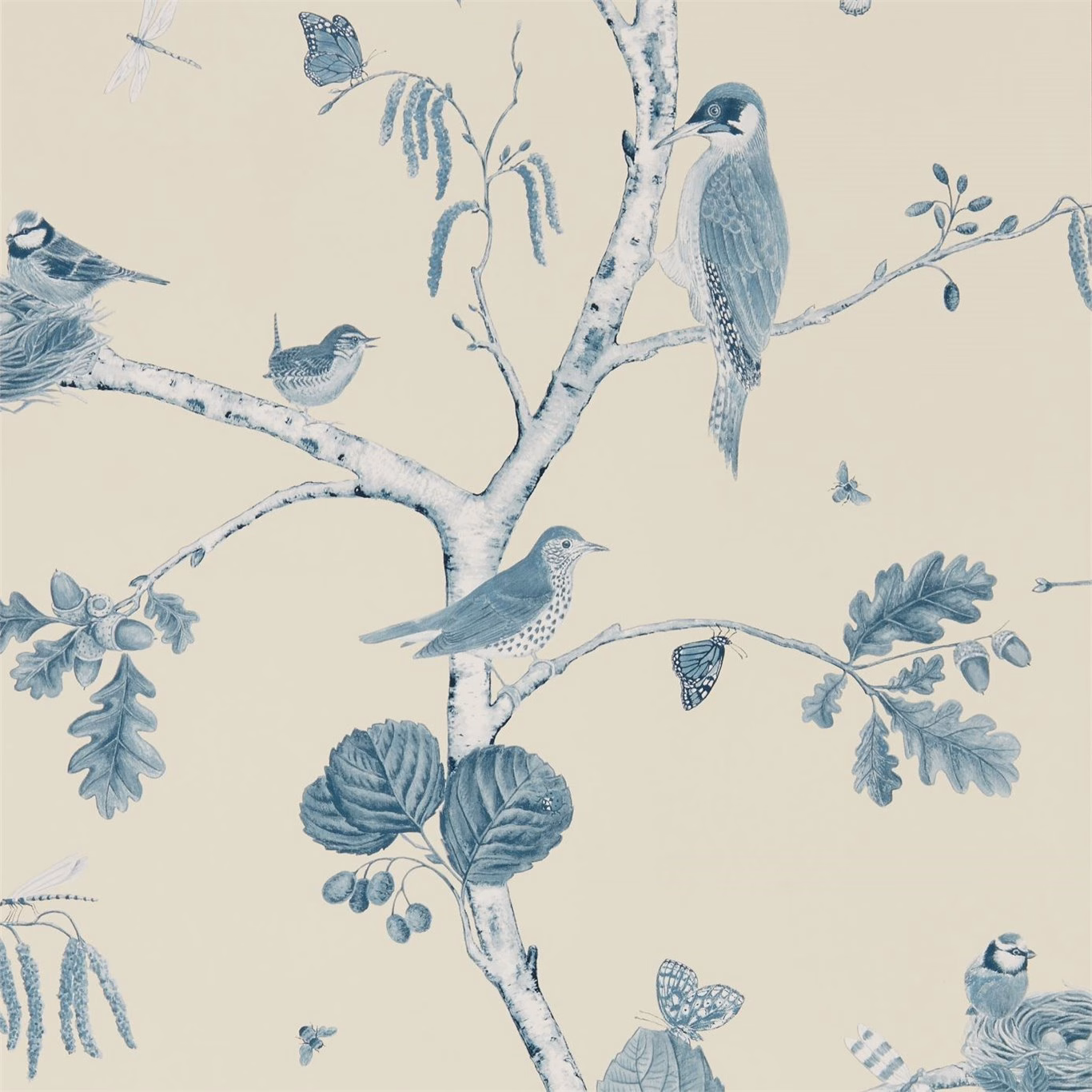Обои Sanderson Woodland Walk Woodland Chorus 215705