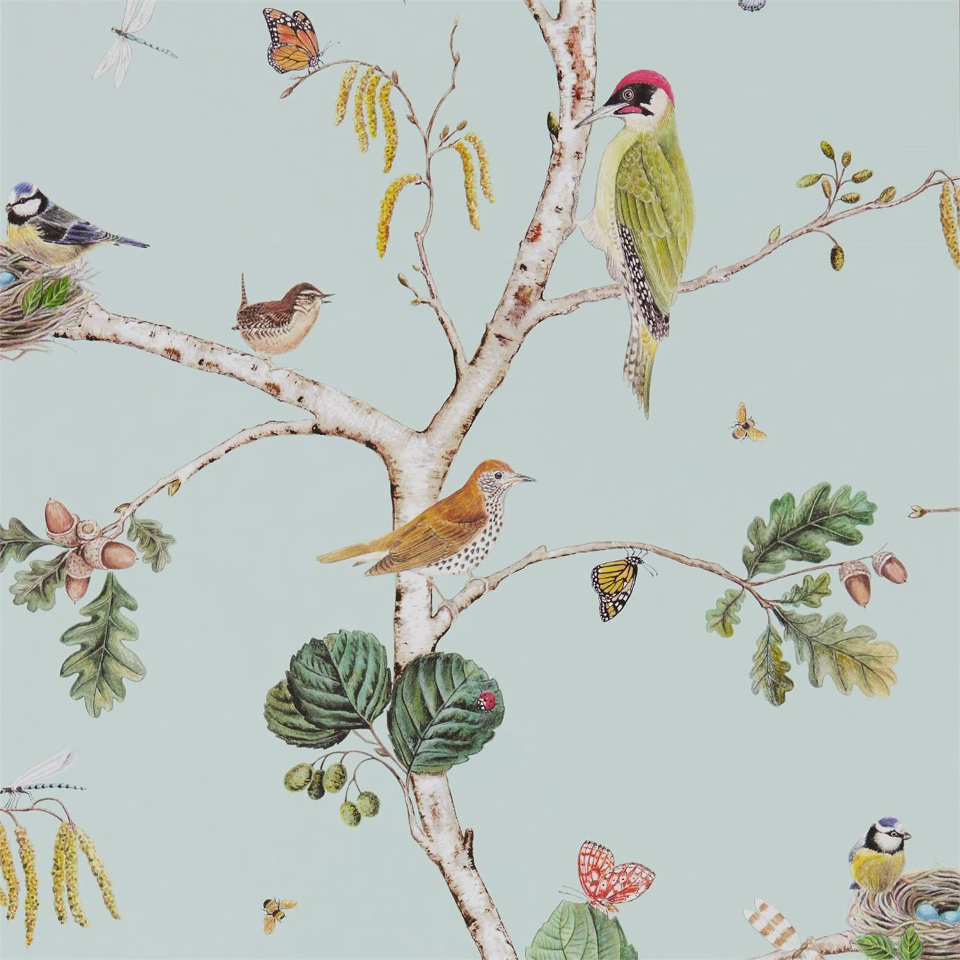 Обои Sanderson Woodland Walk Woodland Chorus 215706