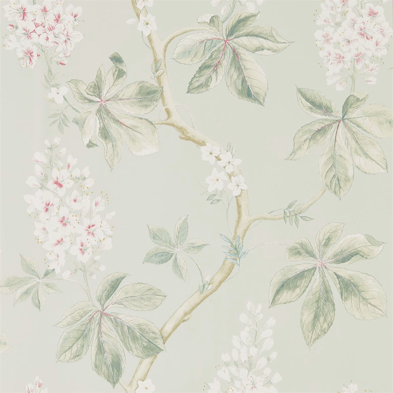Обои Sanderson Woodland Walk Chestnut Tree 215710