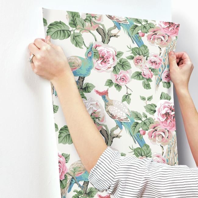 Обои York Modern Heritage 125th Anniversary Garden Plumer NV5520