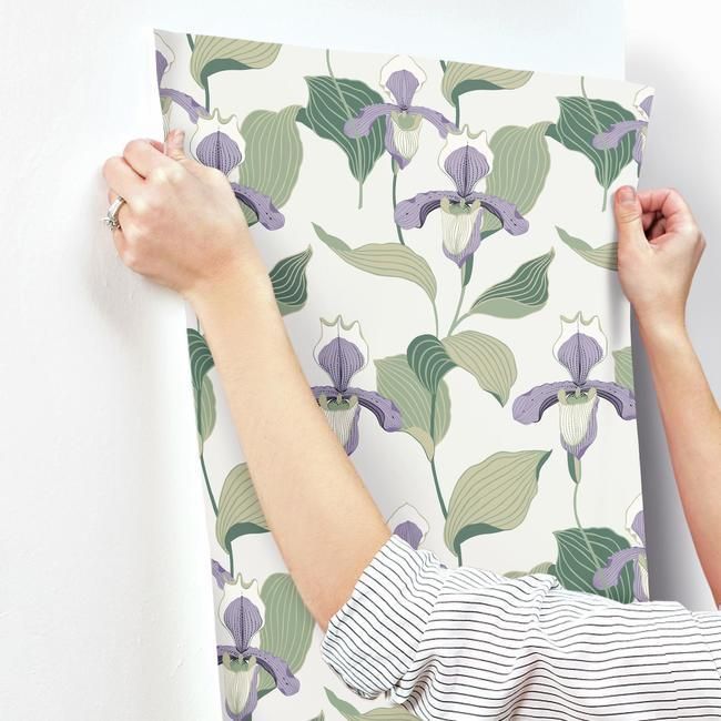 Обои York Modern Heritage 125th Anniversary Lady Slipper NV5528