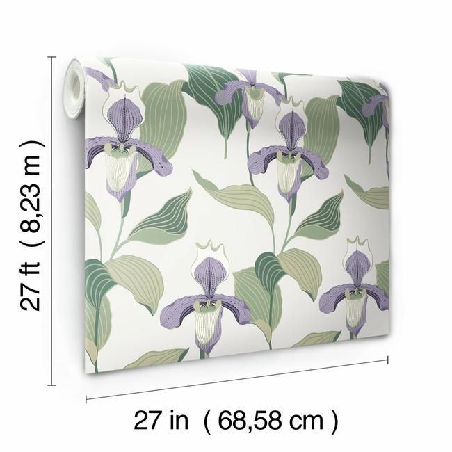 Обои York Modern Heritage 125th Anniversary Lady Slipper NV5528