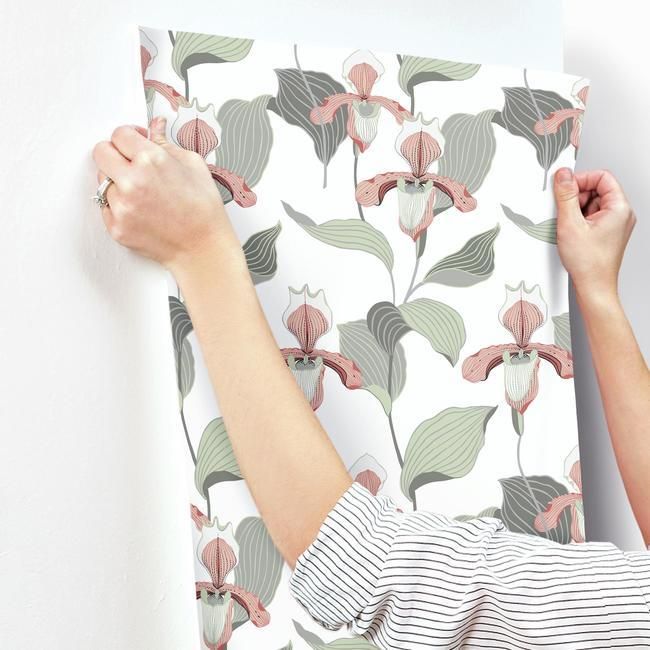 Обои York Modern Heritage 125th Anniversary Lady Slipper NV5529