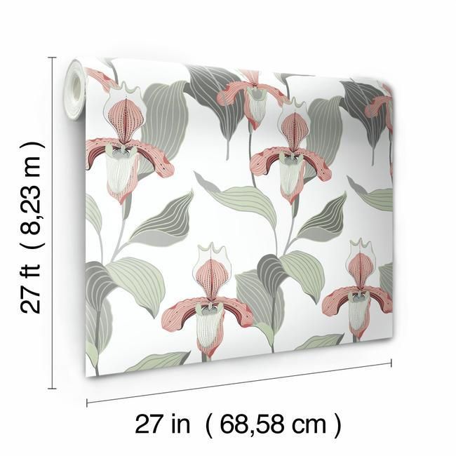 Обои York Modern Heritage 125th Anniversary Lady Slipper NV5529