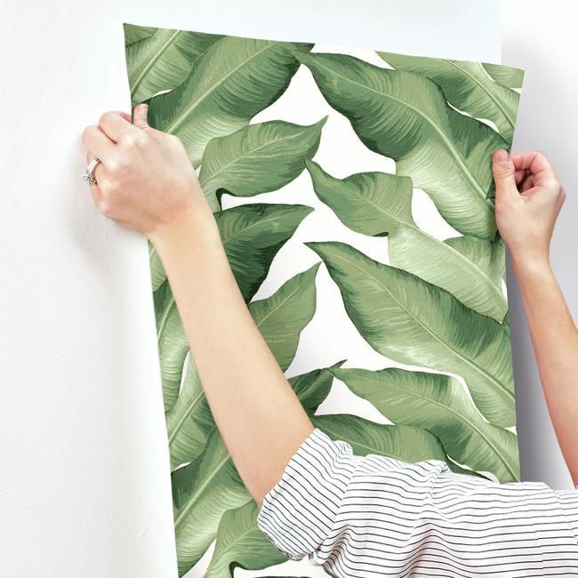 Обои York Modern Heritage 125th Anniversary Beverly Hills NV5541