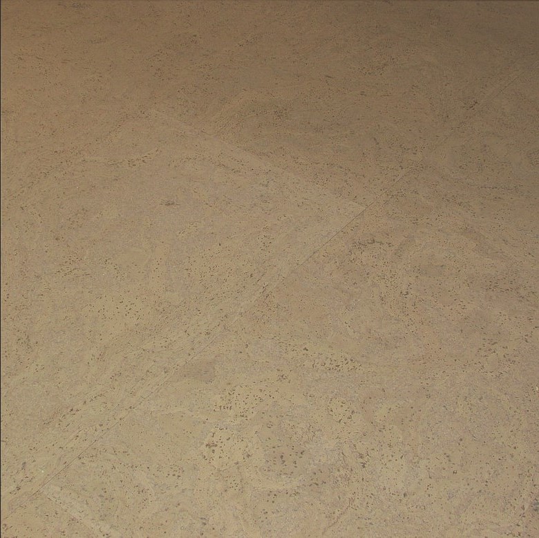 Пробковый пол замковый CorkArt Lite 317v CN 900×300×10