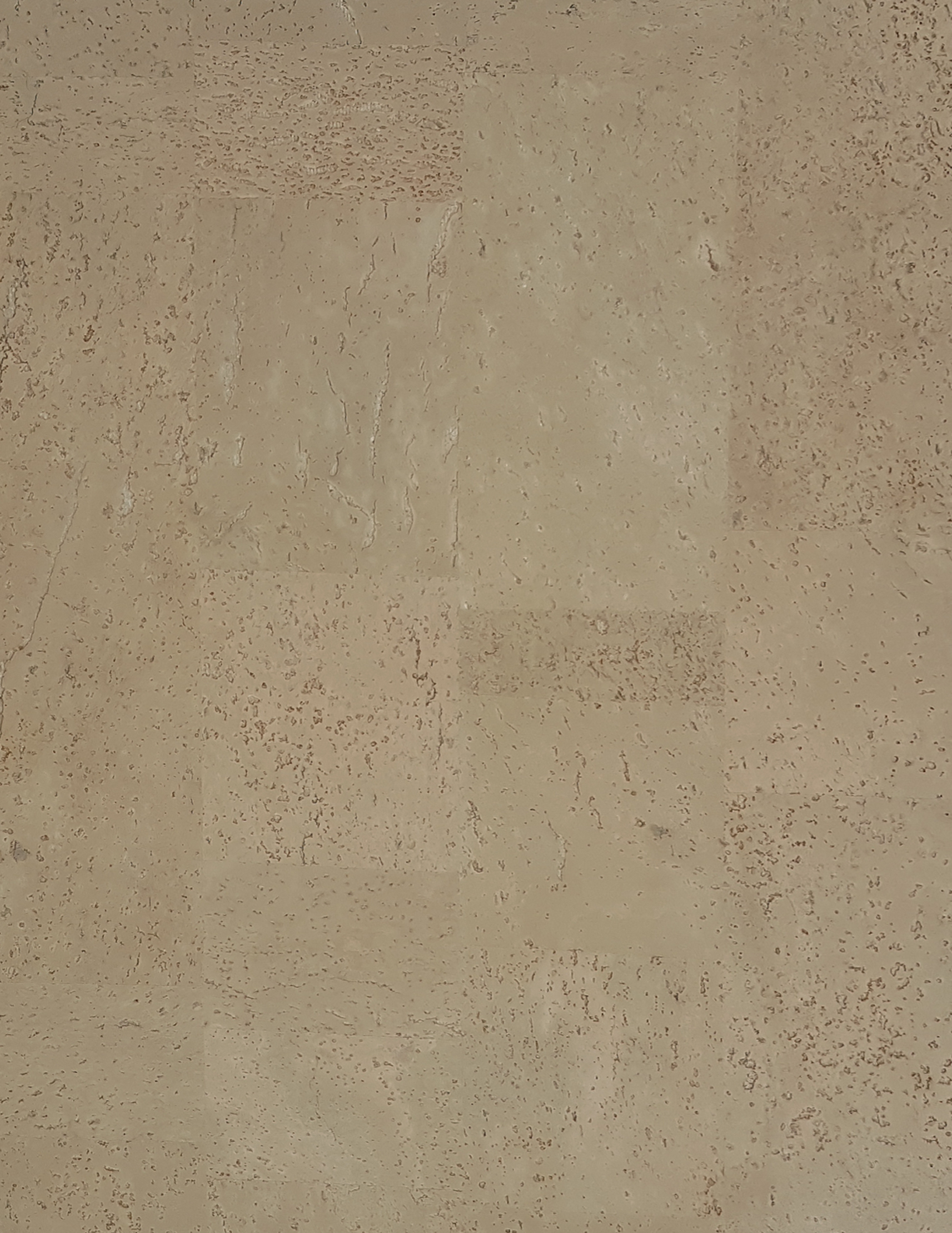 Пробковая стеновая панель CorkArt 386c ZD x 600×450×3