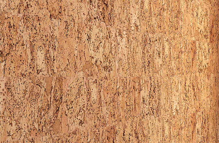 Пробковая стеновая панель Wicanders Fiord natural RY 15