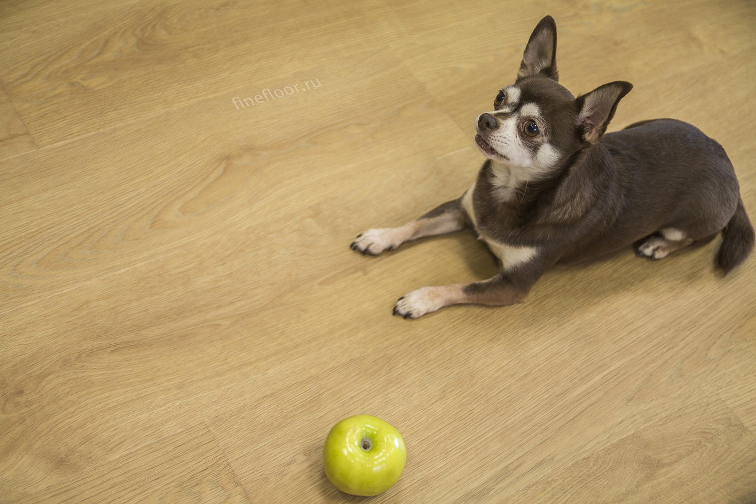 Кварцвиниловая плитка FineFloor клеевая Rich Дуб Сицилия FF-2077 1320×196×2,5 фото в интерьере Кварцвиниловая плитка FineFloor клеевая Rich Дуб Сицилия FF-2077 1320×196×2,5 фото в интерьере