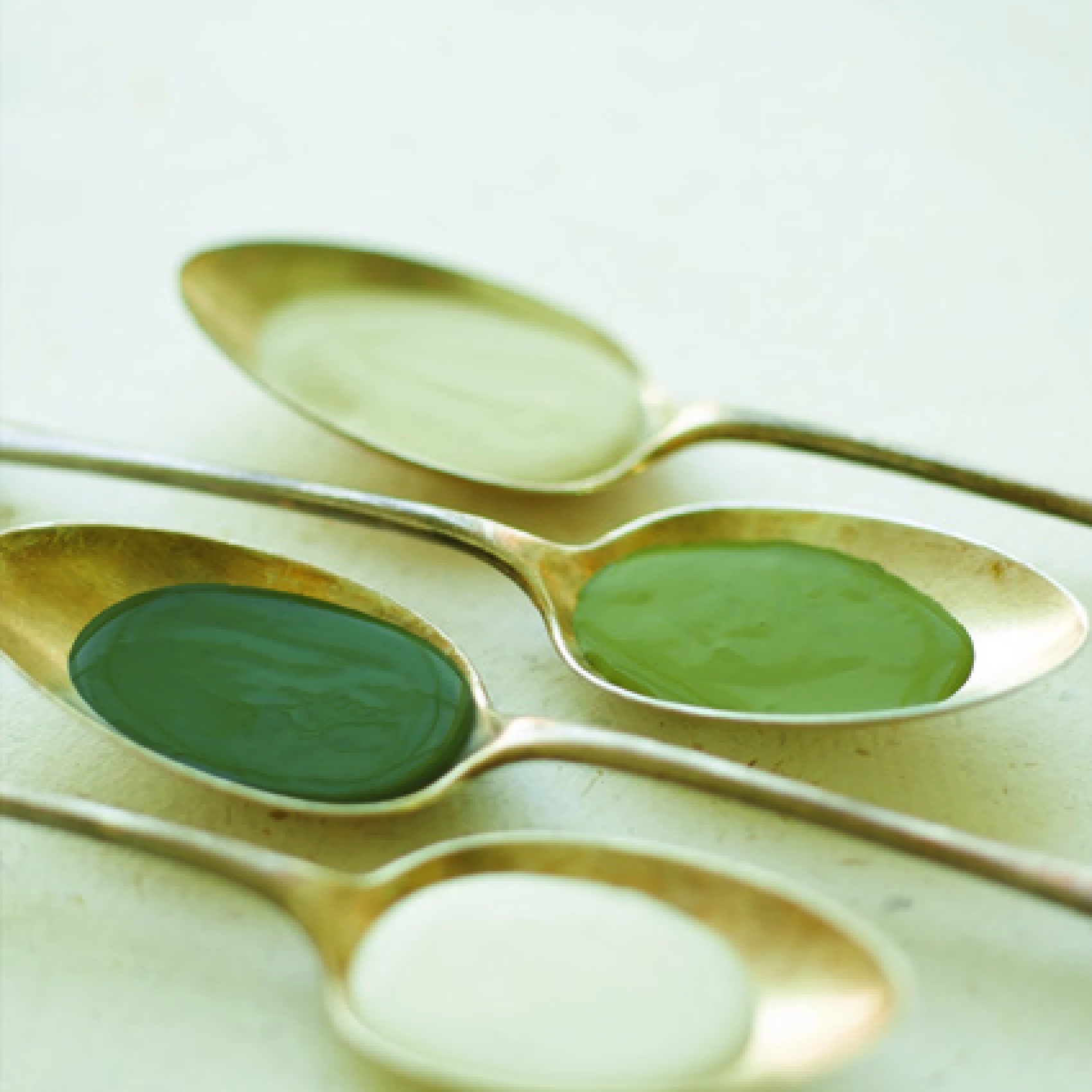 Краска Little Greene цвет Olive Colour 72 Absolute Matt 0,06 л