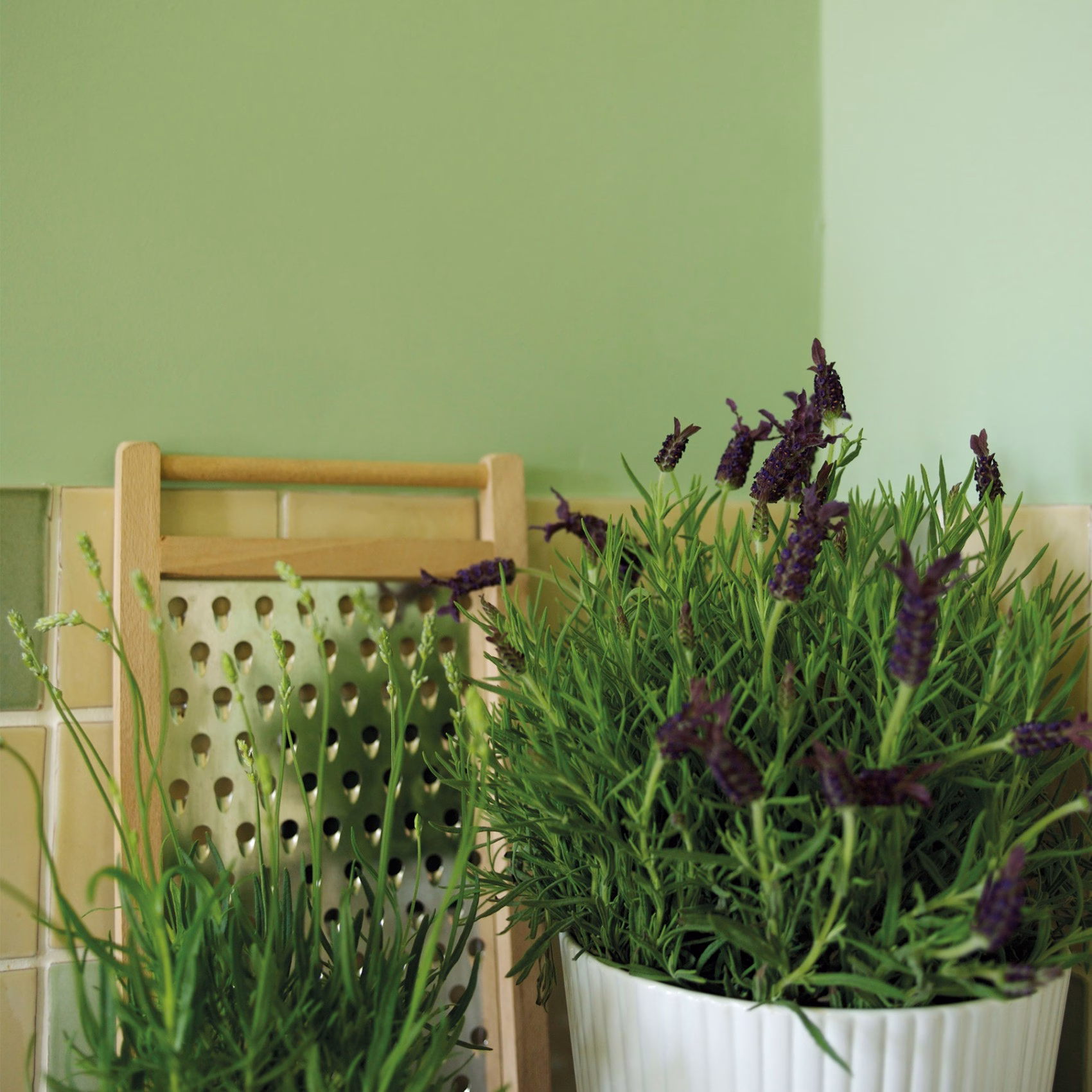 Краска Little Greene цвет Pea Green 91 Intelligent Masonry 5 л