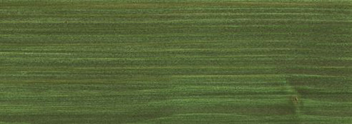 Защитное масло-лазурь для древесины Osmo Holz-Schutz Ol Lasur 729 Тёмно-зелёное 0,125 л