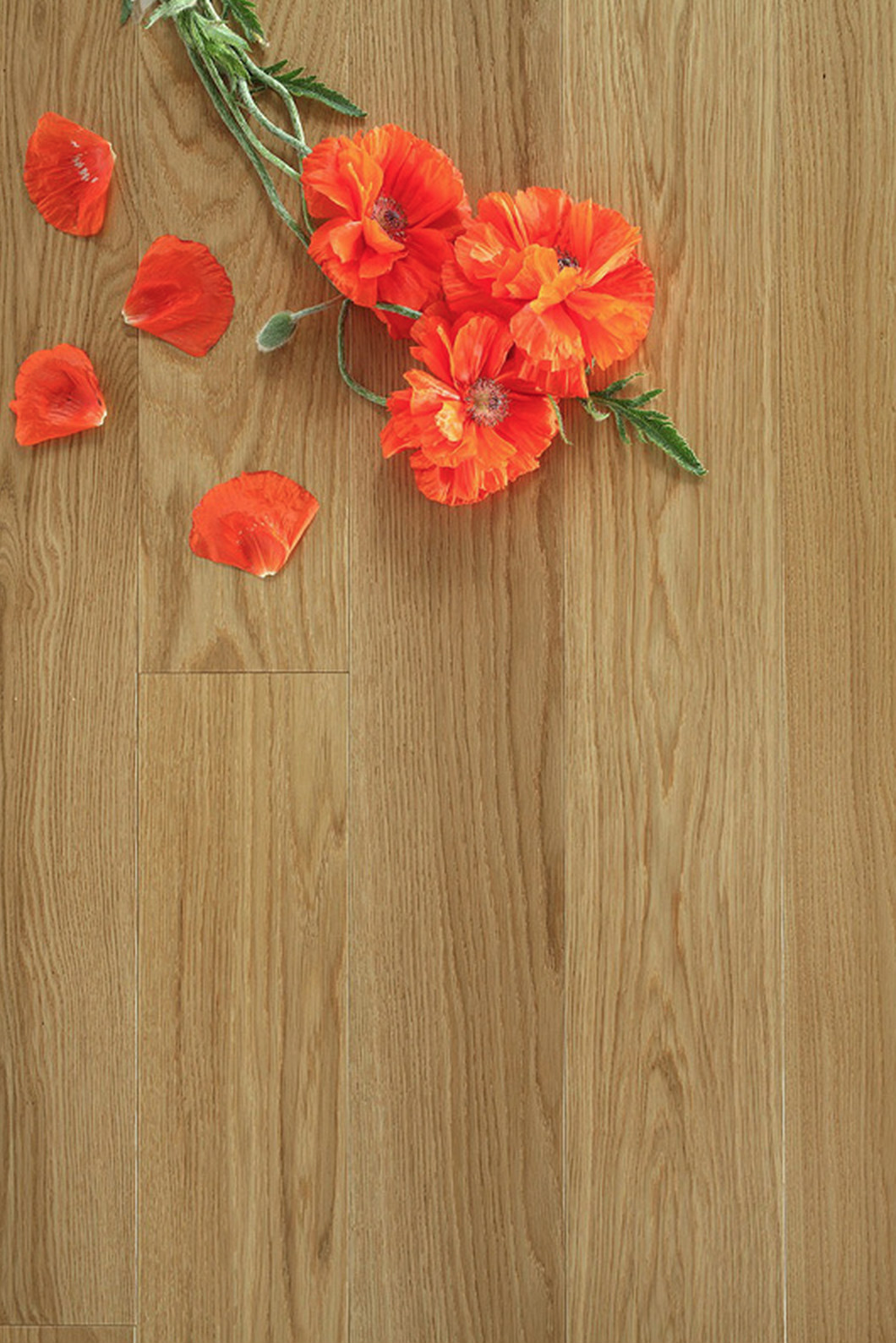 Инженерная доска Hajnowka Дуб Natur 500-2000×125×15