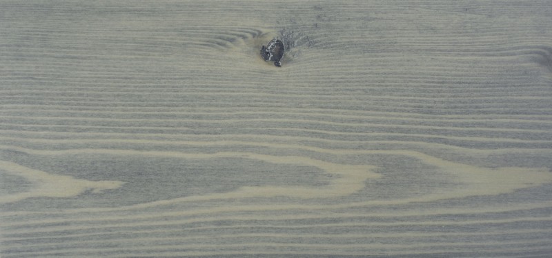 Цветное масло Rubio Monocoat Oil Plus 2C Silver Grey 0,02 л