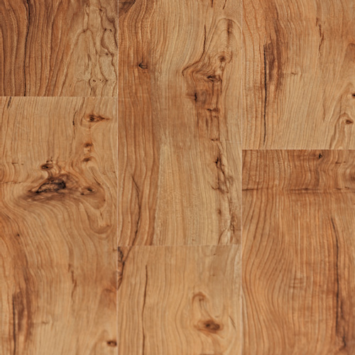 Ламинат Balterio Senator Сосна Мичиган 430 Ламинат Balterio Senator Сосна Мичиган 430