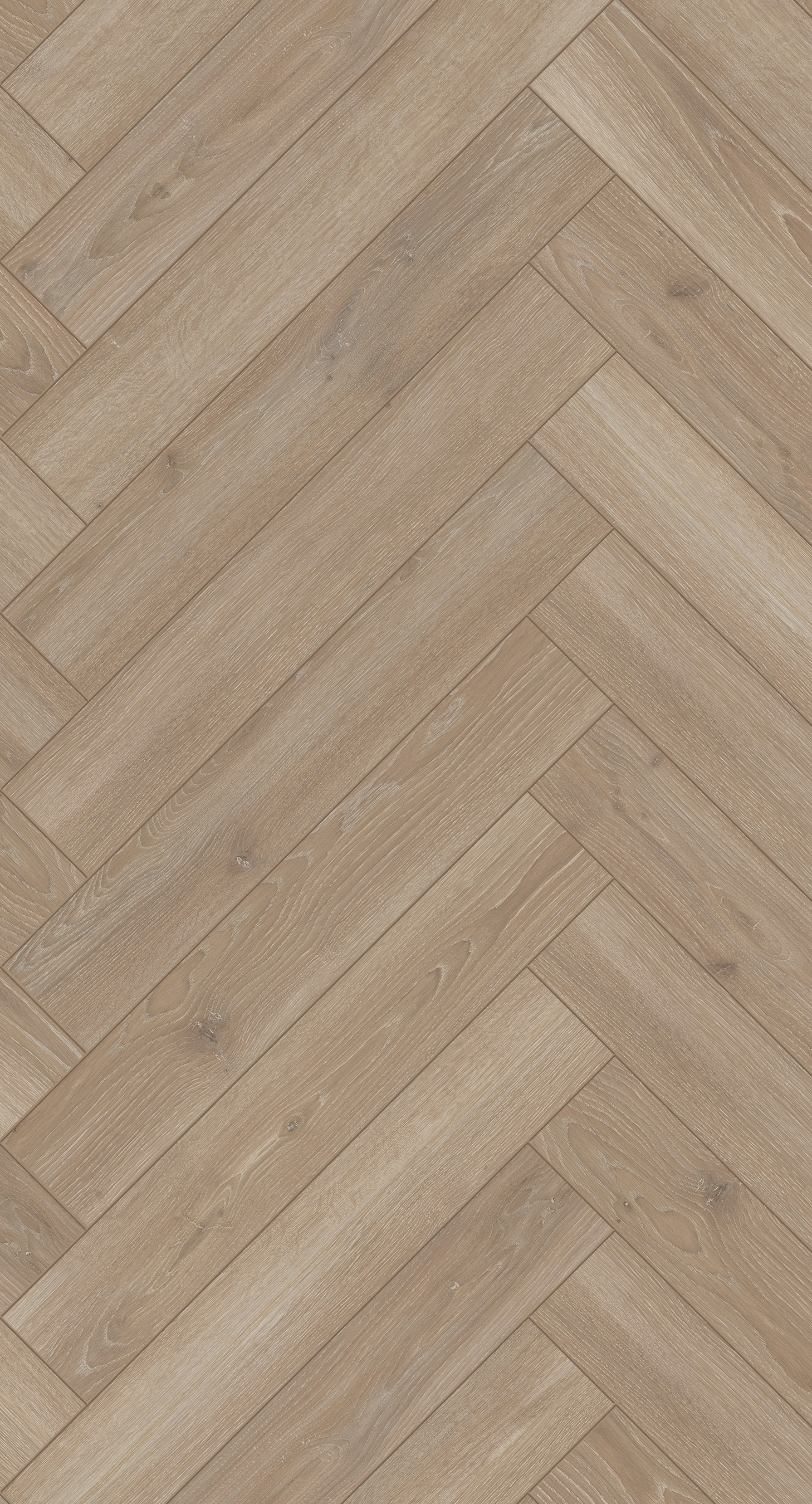 Ламинат Parador Trendtime 3 Дуб Скайлайн жемчужно-серый Skyline Pearl-Grey 1747861 венгерская елка 858×143×8