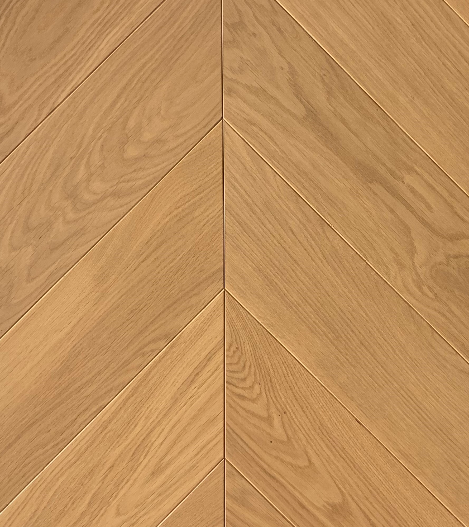 Инженерная доска Hajnowka Дуб Caldos R французская елка 800×145×15