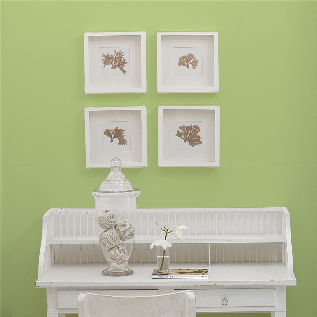 Краска Designers Guild цвет Mimosa Leaf 101 Perfect Eggshell 1 л