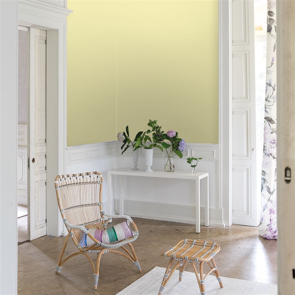 Краска Designers Guild цвет Primrose 118 Perfect Matt 5 л