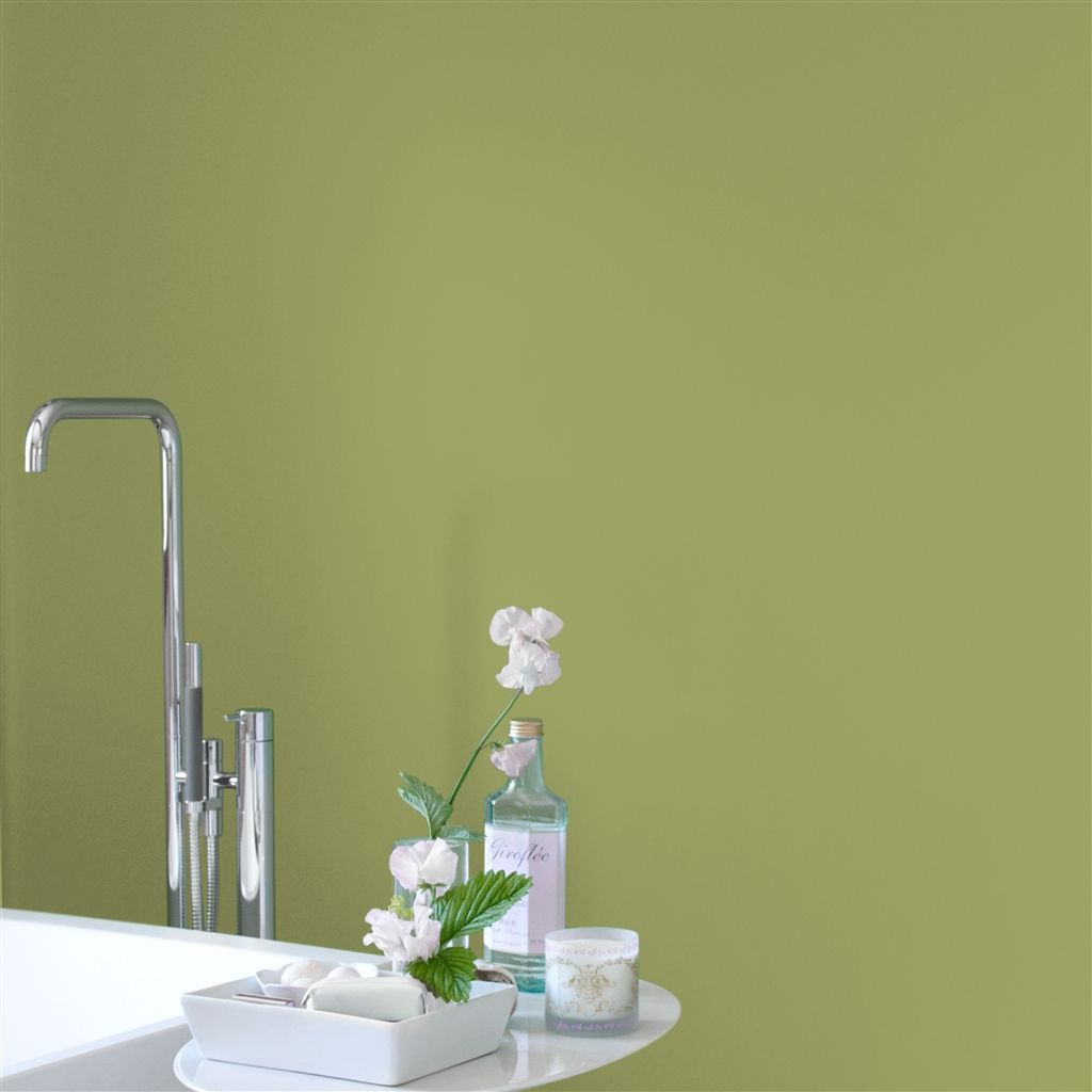 Краска Designers Guild цвет River Reed 106 Perfect Matt 0.125 л