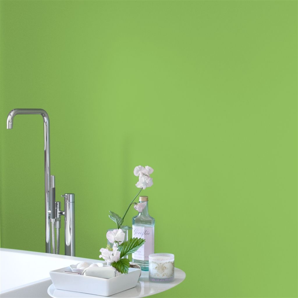 Краска Designers Guild цвет Tg Green 99 Floor 5 л Краска Designers Guild цвет Tg Green 99 Floor 5 л