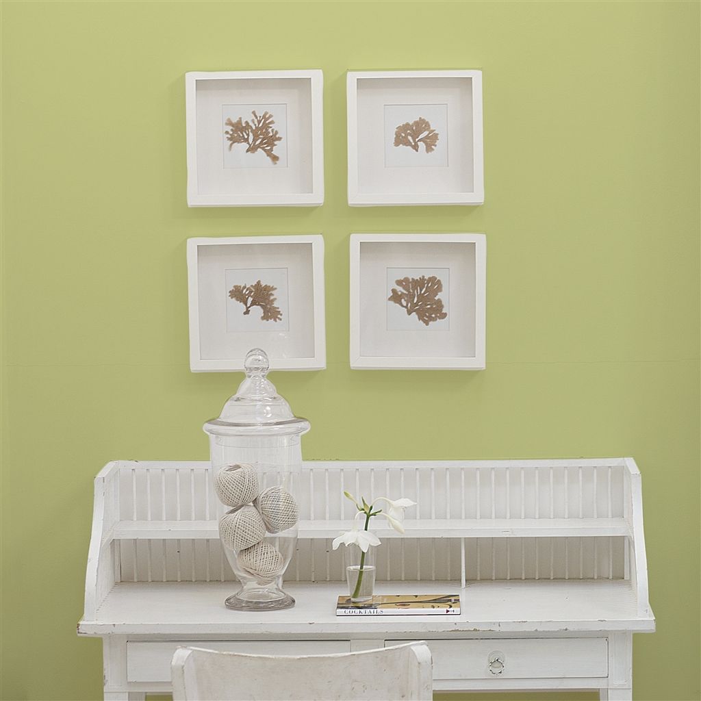 Краска Designers Guild цвет Trailing Willow 109 Perfect Eggshell 5 л