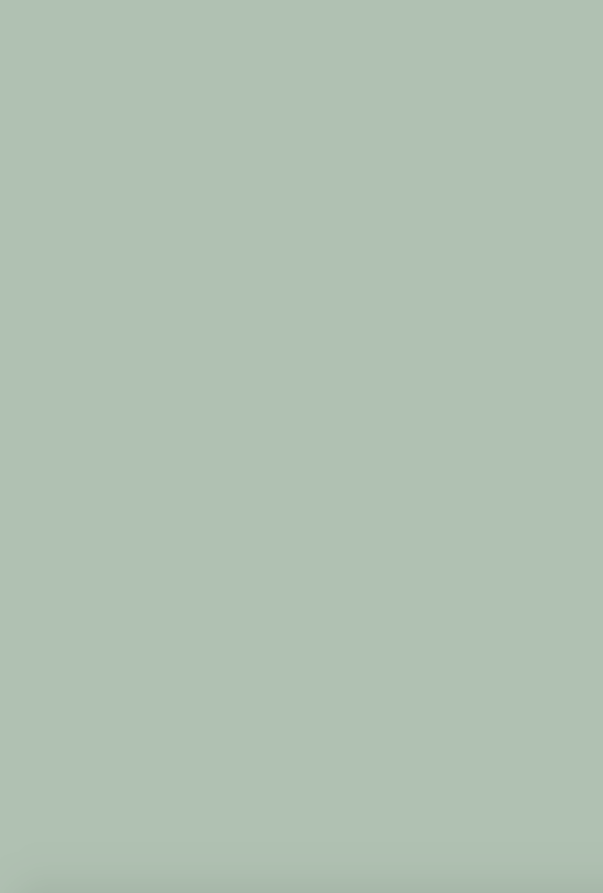 Краска Farrow & Ball цвет Teresas Green 236 Full Gloss 0,75 л Краска Farrow & Ball цвет Teresas Green 236 Full Gloss 0,75 л