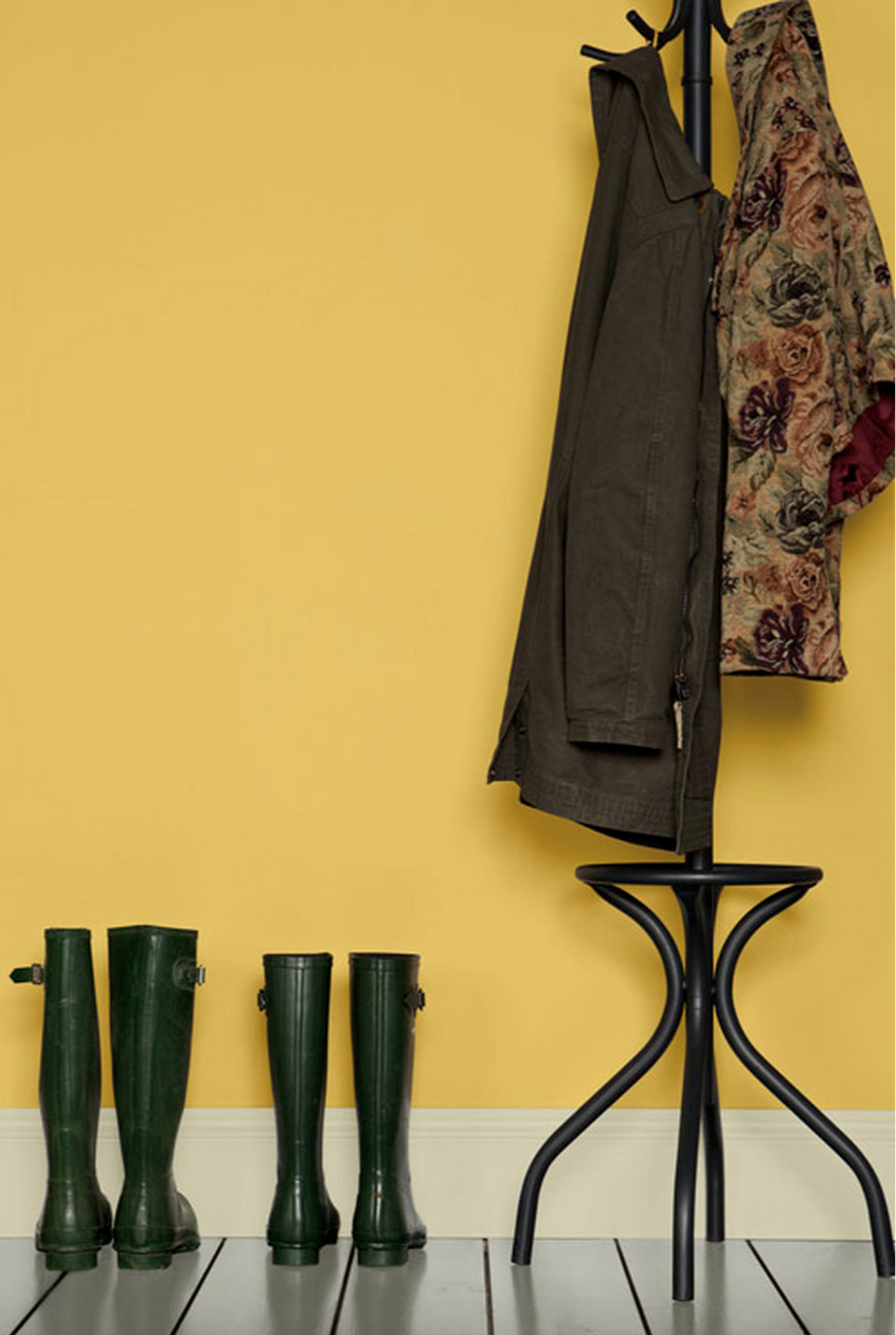 Краска Farrow & Ball цвет Citron 74 Estate Emulsion 0,1 л фото в интерьере Краска Farrow & Ball цвет Citron 74 Estate Emulsion 0,1 л фото в интерьере