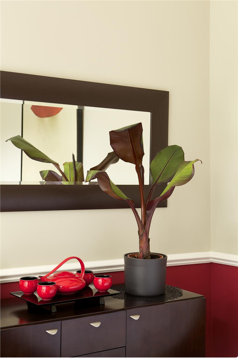 Краска Farrow & Ball цвет Eating Room Red 43 Estate Eggshell 5 л фото в интерьере