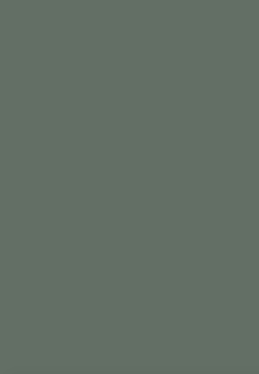 Краска Farrow & Ball цвет Green Smoke 47 Dead Flat 5 л Краска Farrow & Ball цвет Green Smoke 47 Dead Flat 5 л
