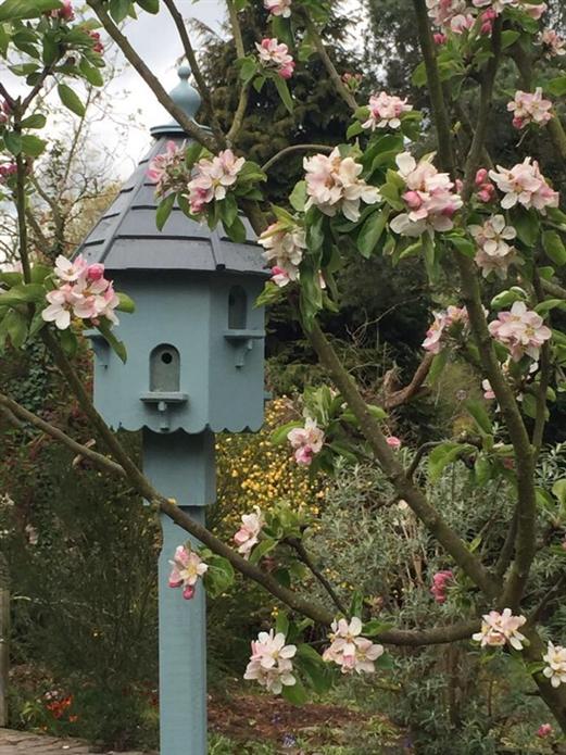 Краска Farrow & Ball цвет Green Smoke 47 Dead Flat 5 л фото в интерьере Краска Farrow & Ball цвет Green Smoke 47 Dead Flat 5 л фото в интерьере