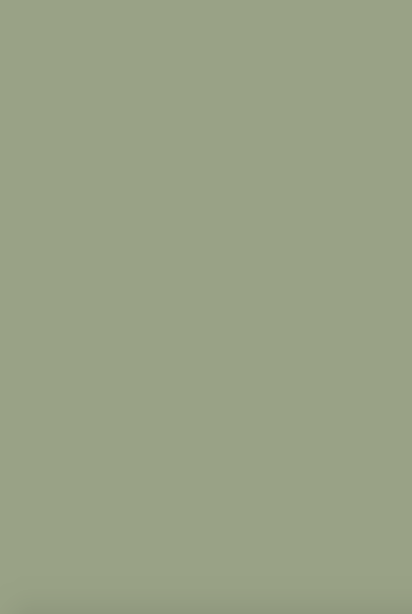 Краска Farrow & Ball цвет Lichen 19 Full Gloss 0,75 л Краска Farrow & Ball цвет Lichen 19 Full Gloss 0,75 л