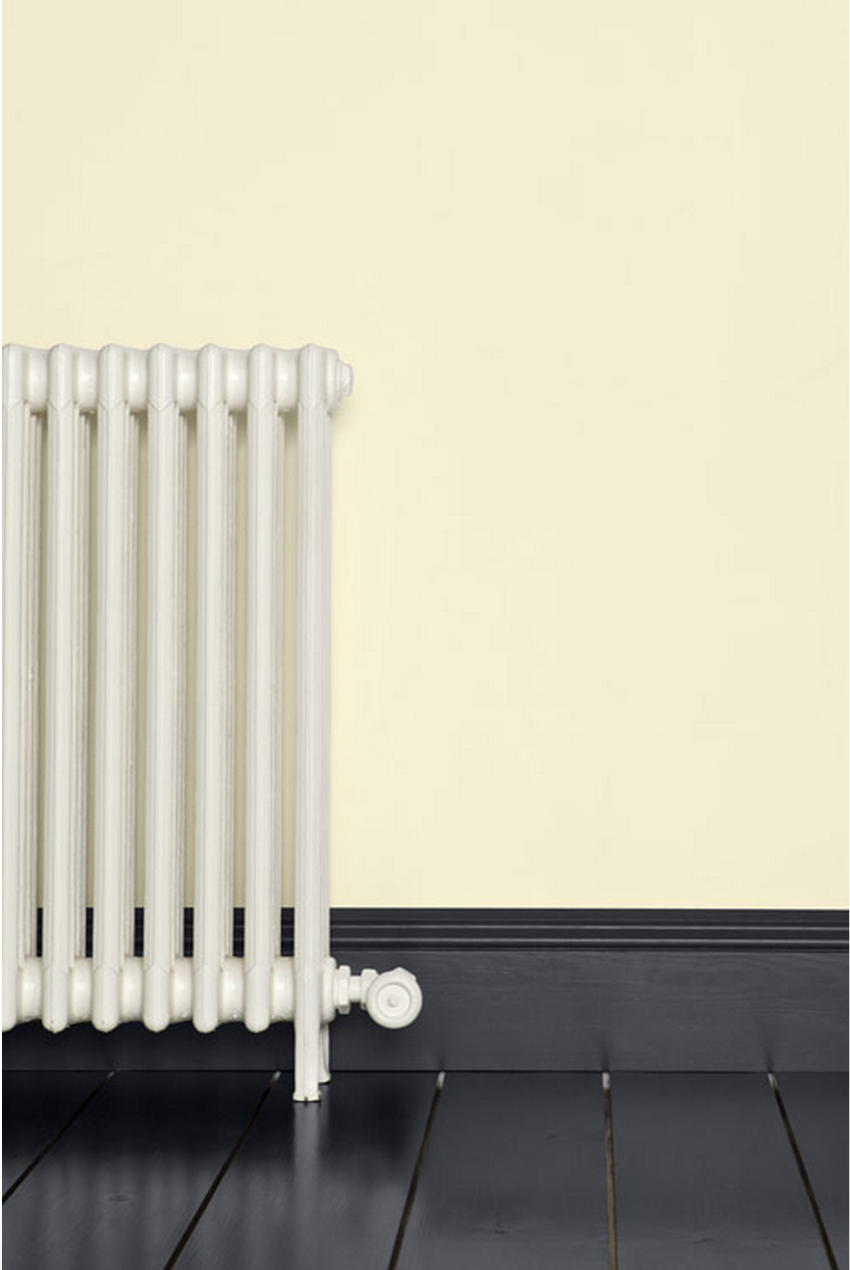 Краска Farrow & Ball цвет Railings 31 Estate Emulsion 0,1 л фото в интерьере Краска Farrow & Ball цвет Railings 31 Estate Emulsion 0,1 л фото в интерьере