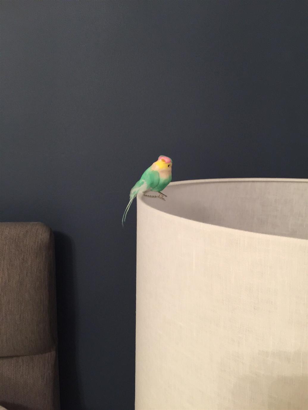 Краска Farrow & Ball цвет Stiffkey Blue 281 Estate Emulsion 0,1 л фото в интерьере Краска Farrow & Ball цвет Stiffkey Blue 281 Estate Emulsion 0,1 л фото в интерьере