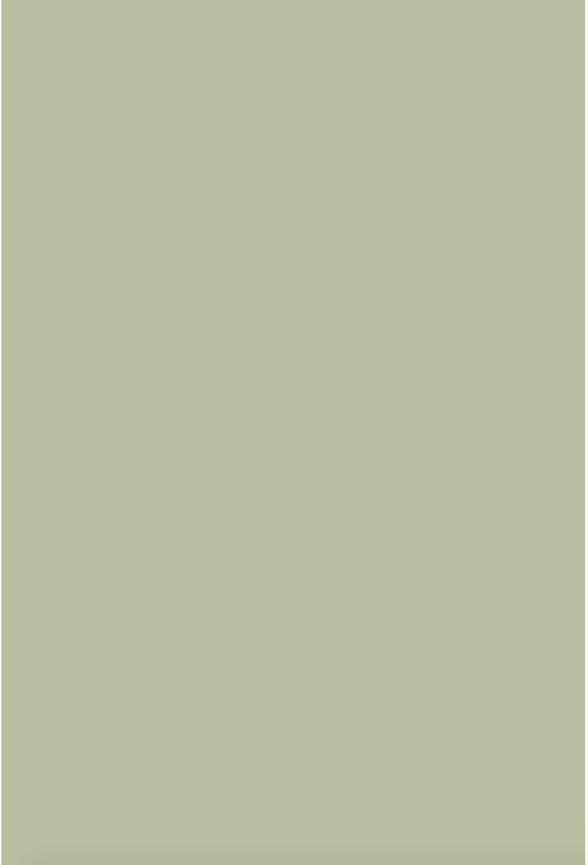 Краска Farrow & Ball цвет Vert De Terre 234 Estate Emulsion 0,1 л Краска Farrow & Ball цвет Vert De Terre 234 Estate Emulsion 0,1 л