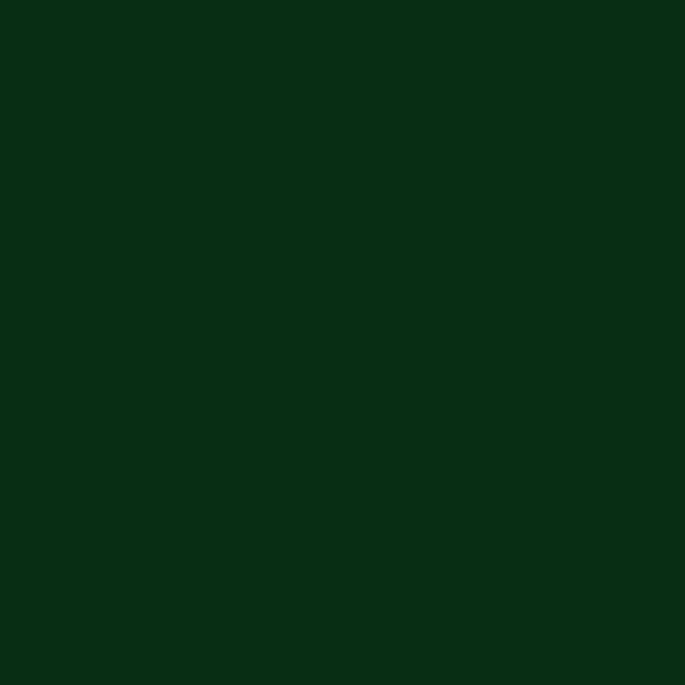 Краска Little Greene цвет Dark Brunswick Green 88 Intelligent Matt 1 л