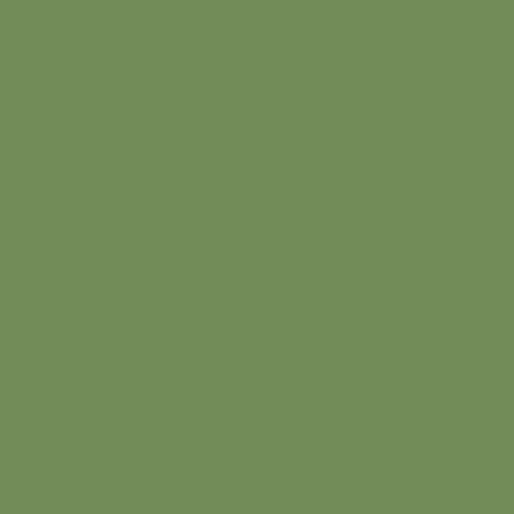 Краска Little Greene цвет Light Brunswick Green Absolute Matt 0,25 л