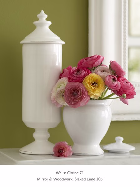 Краска Little Greene цвет Pale Lime 70 Absolute Matt 0,06 л