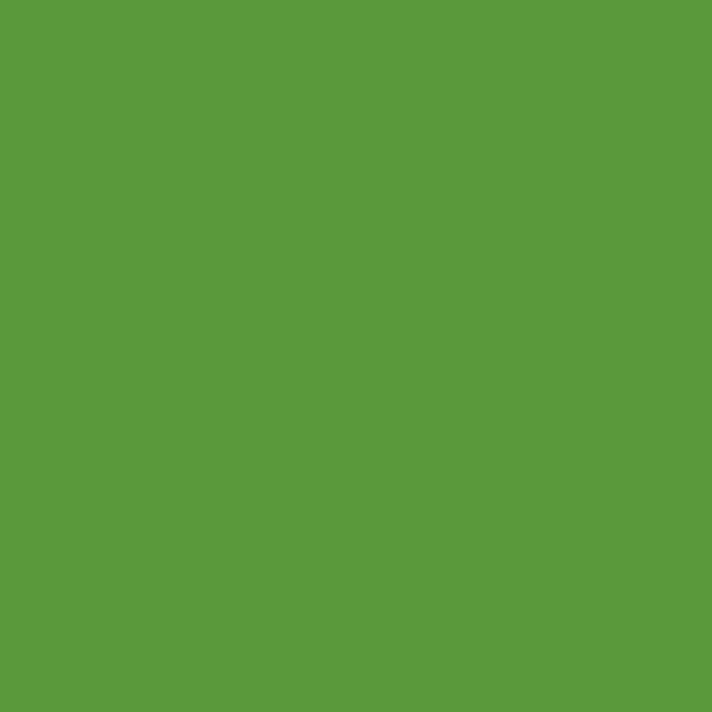 Краска Charmant цвет RAL Yellow green 6018 Sommet 0.9 л