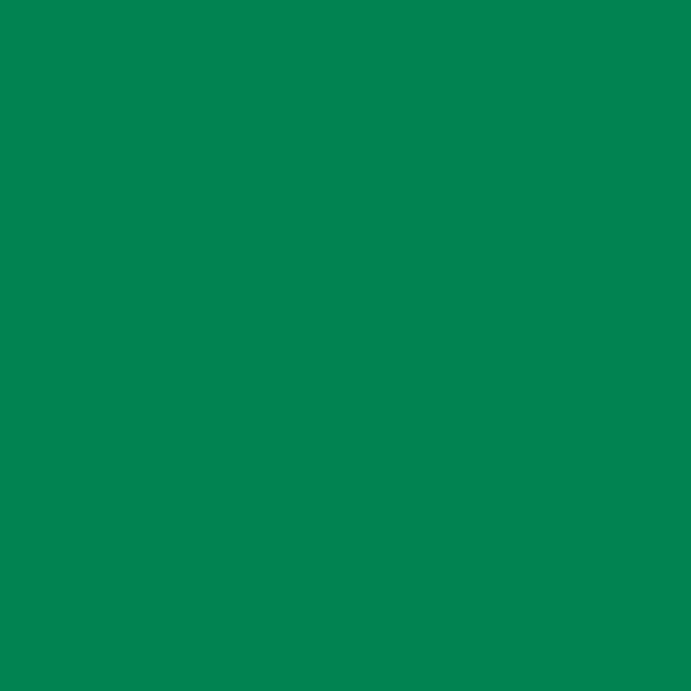 Краска Charmant цвет RAL Traffic green 6024 Sommet 0.9 л