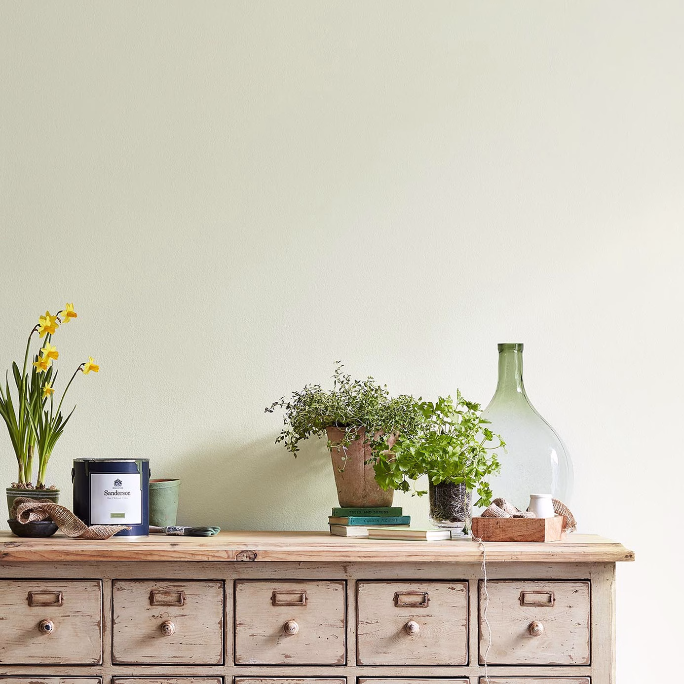 Краска Sanderson цвет Cameo White Active Emulsion 5 л