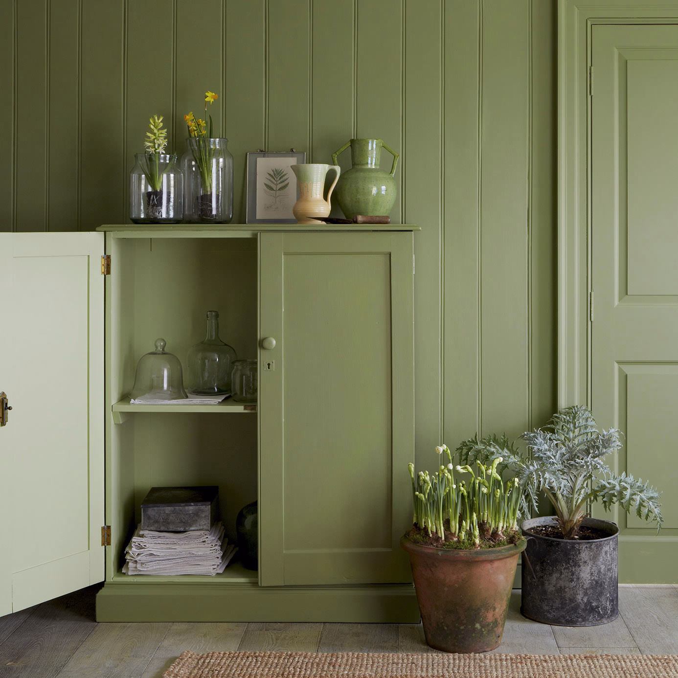 Краска Sanderson цвет Canopy Green Active Emulsion 2,5 л