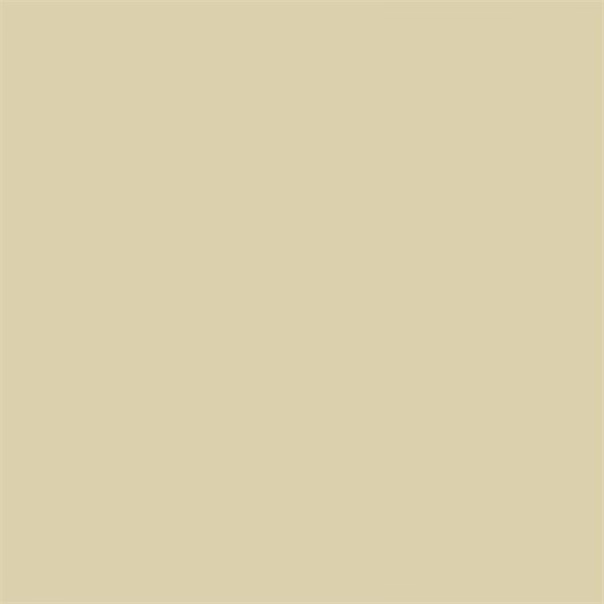 Краска Sanderson цвет Beach Tan Active Emulsion 5 л